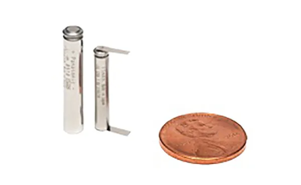 Pin Type Lithium Ion Batteries
