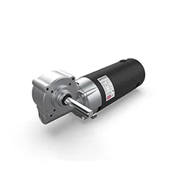 Parvalux PM60 permanent magnet DC motor