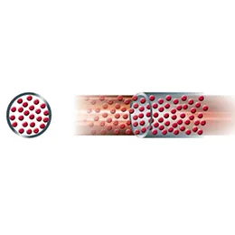 Dilute Phase Conveying