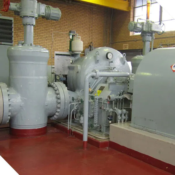 Generator Control System