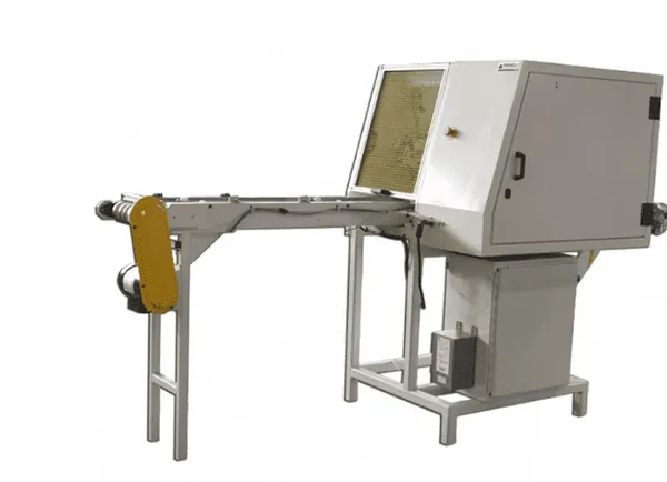 Custom Sheeting Machine with Conveyor