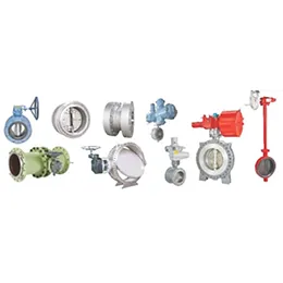 Advance Valves
