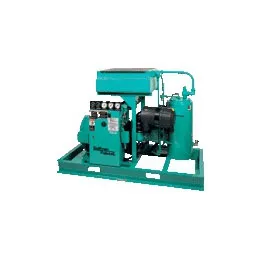 Rotary screw vacuum pump