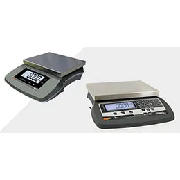 Compact scale