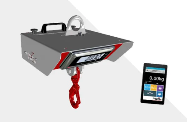 Pallets weigher crane scales overhead scales and wall receptor