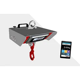 Pallets weigher crane scales overhead scales and wall receptor