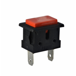 PPS-1 Push Button Switch