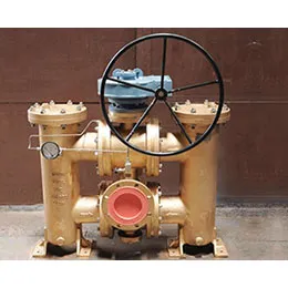 Duplex Strainers