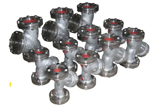 Y Strainers