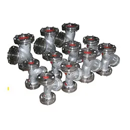 Y Strainers