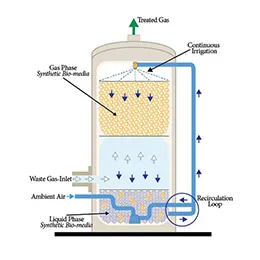 Bio Oxidation