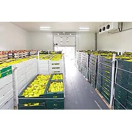 Industrial Refrigeration Control Systems