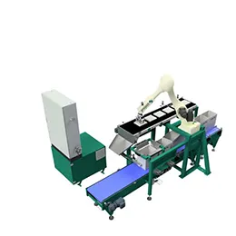 Packing robot - PROPAC