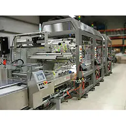 Flow Wrapper Infeed Systems