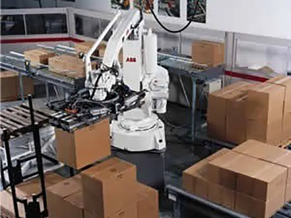 Single & Multi Lane Palletizer