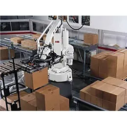Single & Multi Lane Palletizer