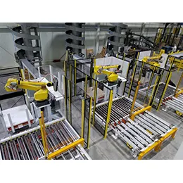 Box Bot Palletizer