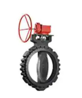 Bray Series 41R double offset Butterfly Valve
