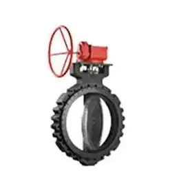 Bray Series 41R double offset Butterfly Valve