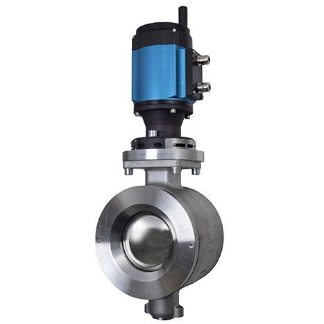 Ramén Ball Sector Basis weight control valve