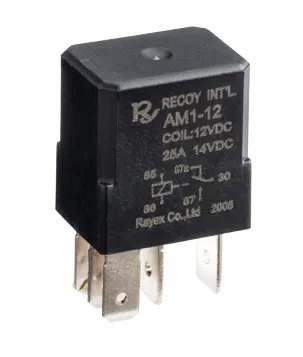 Automotive Relay AM1-12-RY