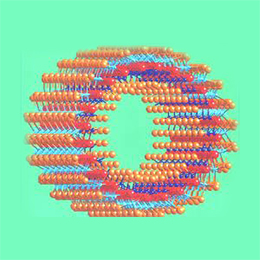 inorganic nanotubes