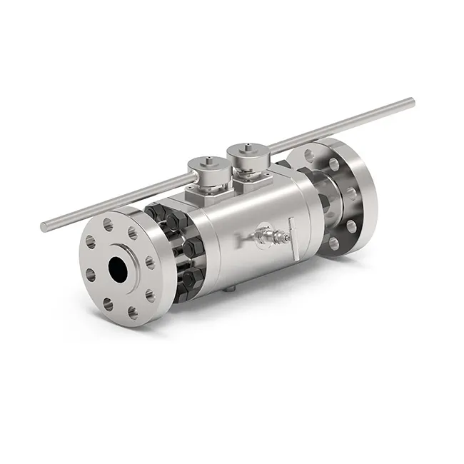 Double Block & Bleed valves