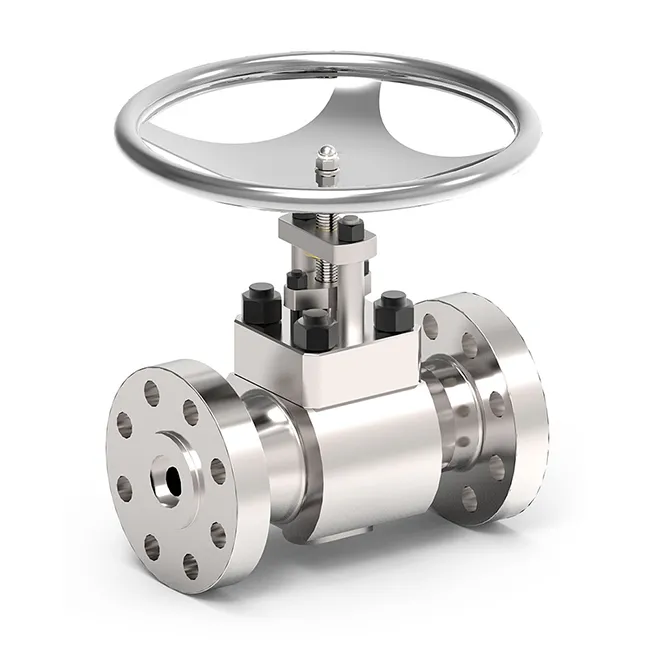 Globe valves