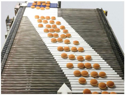 Slicer Feed Conveyors