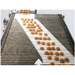 Slicer Feed Conveyors