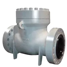 Check Valves