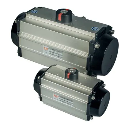 Pneumatic Actuators