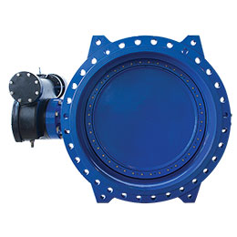 Double Eccentric Butterfly valve
