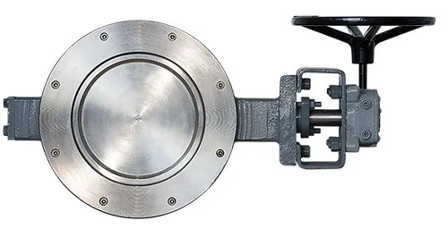 Double Offset Butterfly Valve - BUV21