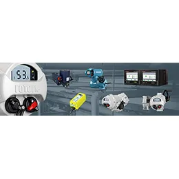Electric Actuators