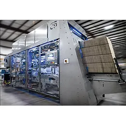 HIGH SPEED HORIZONTAL CASE PACKER