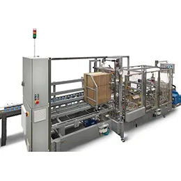 HORIZONTAL CASE PACKER