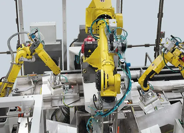 ROBOTIC CASE PACKER