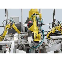 ROBOTIC CASE PACKER