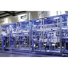 VERTICAL BOTTOM LOADING CASE PACKER