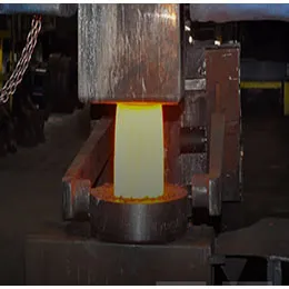 Hubs & tooled forgings