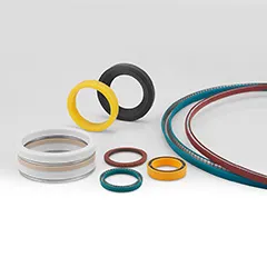 Spring Energized Seals