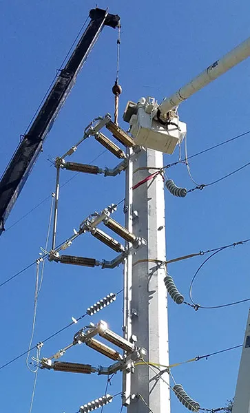 Unitized Transmission Switches