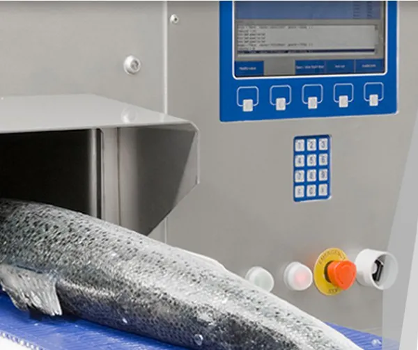 Fish Processing Solutions