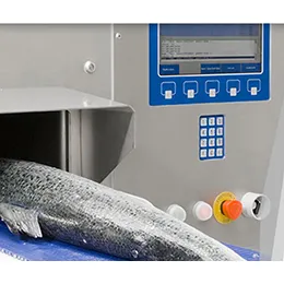 Fish Processing Solutions