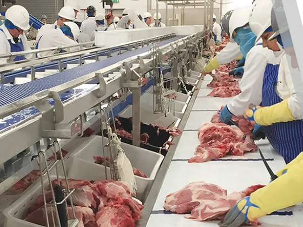 Red Meat Processing Solutions