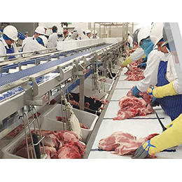 Red Meat Processing Solutions