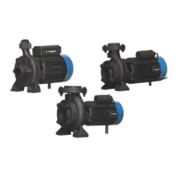 monoblock pumps-ssm series