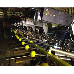 Primary Port Cleaners & Dampers