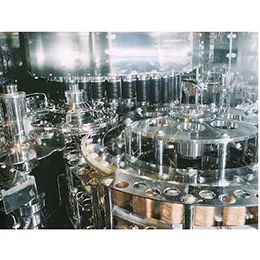 Filling and Capping Systems